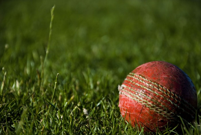 Cricket batting action for 7c444 Pakistan sportsbook and PSL betting